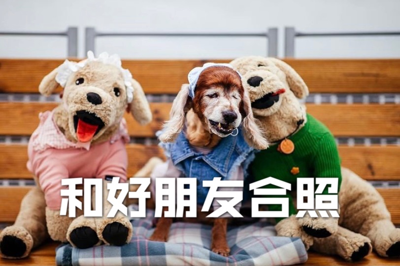 🐶🐶 健康判断技巧💯 ❗️❗️