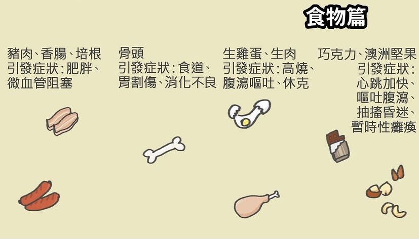 常见的食物🍜有哪些不能让狗狗吃❓ 人类的食物，狗不一定可以吃❗️