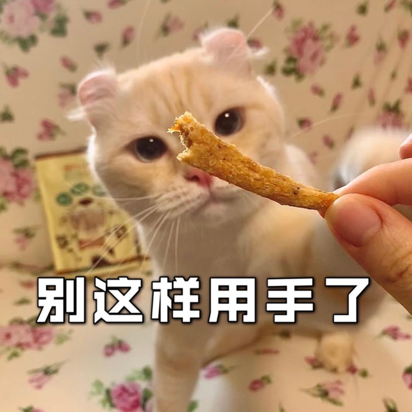 猫咪喜欢咬人玩怎么办❓❗️