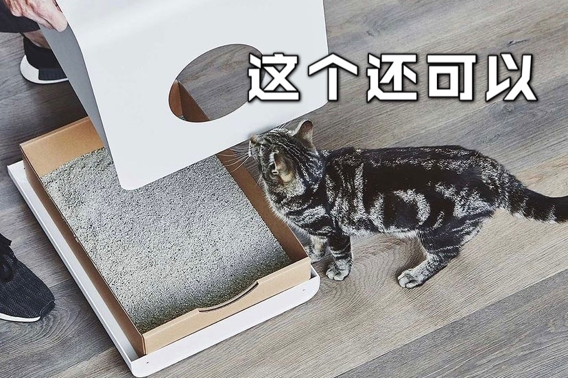 我给猫猫挑选猫砂盆的几个方法💡