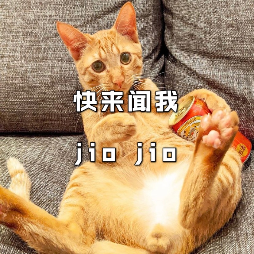 你闻过你家猫咪的脚丫子🦶吗❓