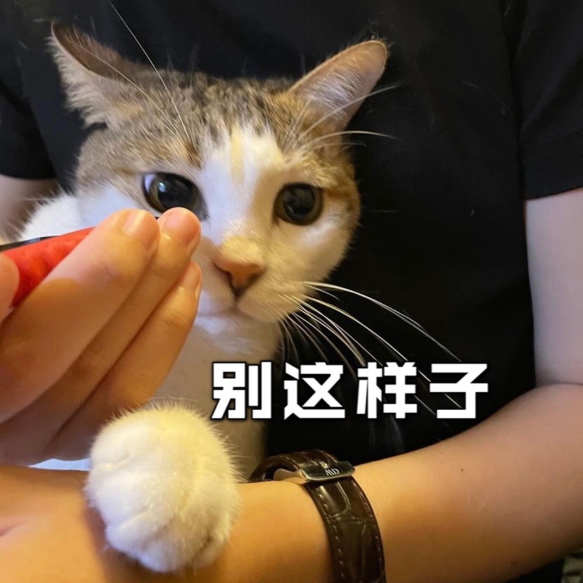 自己在家给猫咪剪指甲的攻略❗️❗️