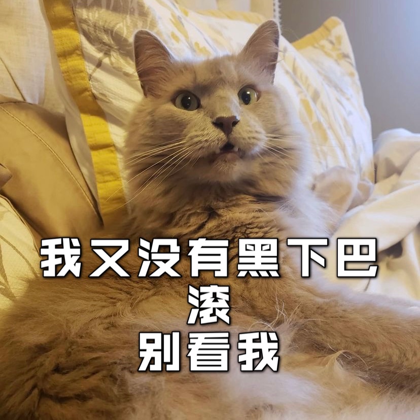 猫猫黑下巴❓这是怎么引起的❓