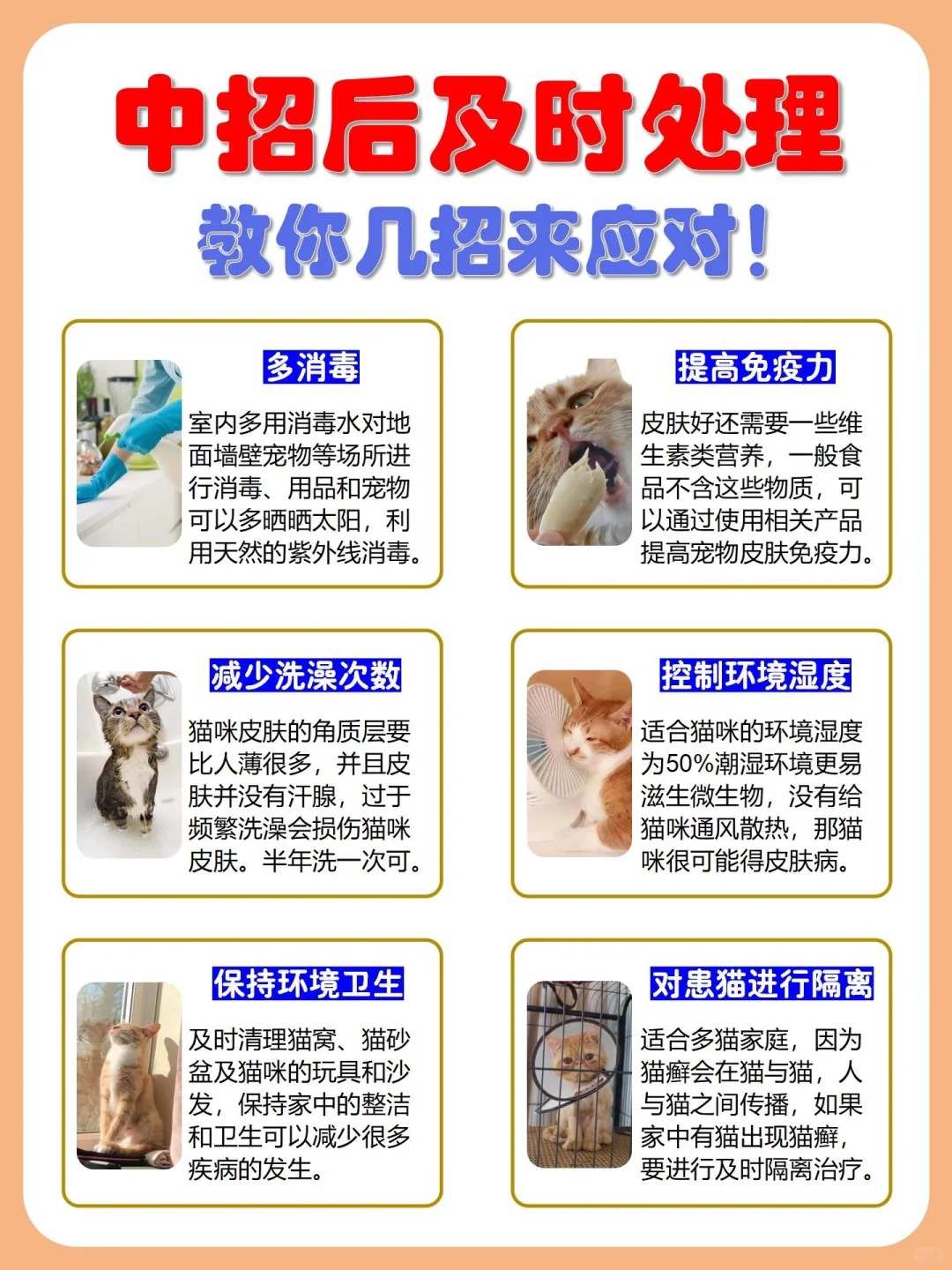 猫xuan来袭，家长们如何及时处理？💡