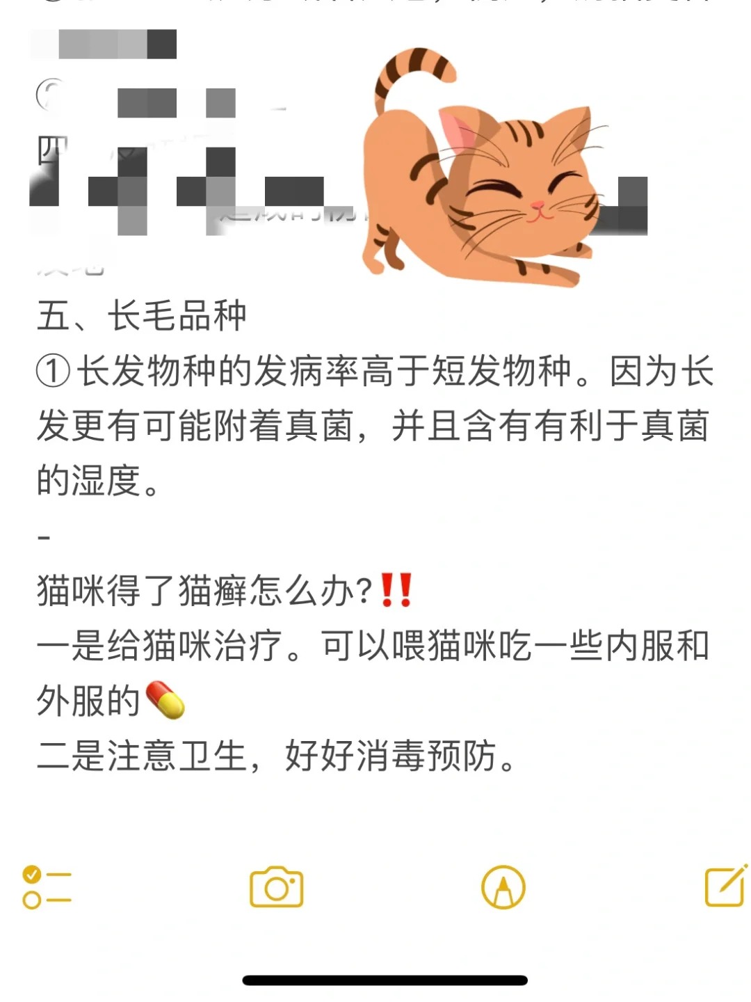 来看看你家猫长猫癣的可能因素‼️