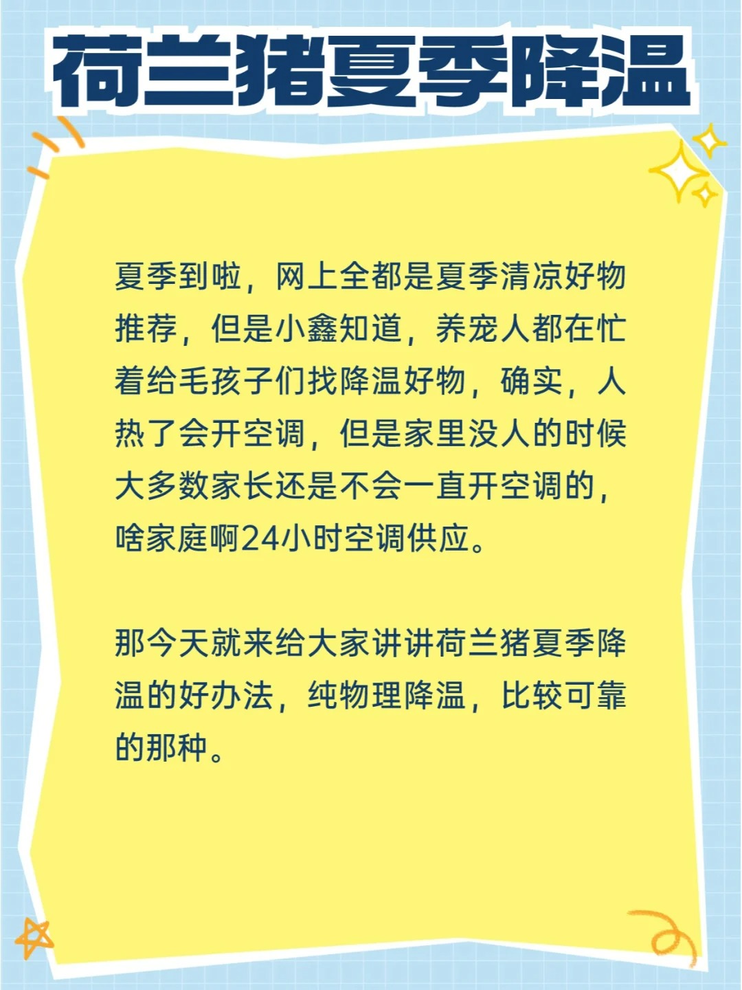 夏季荷兰猪避暑攻略有！猪猪中暑可不得了！