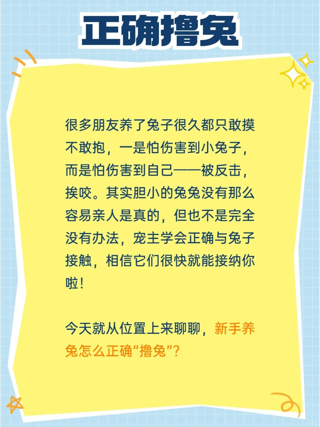 新手养兔不知从何下手？宠医教你正确撸兔！