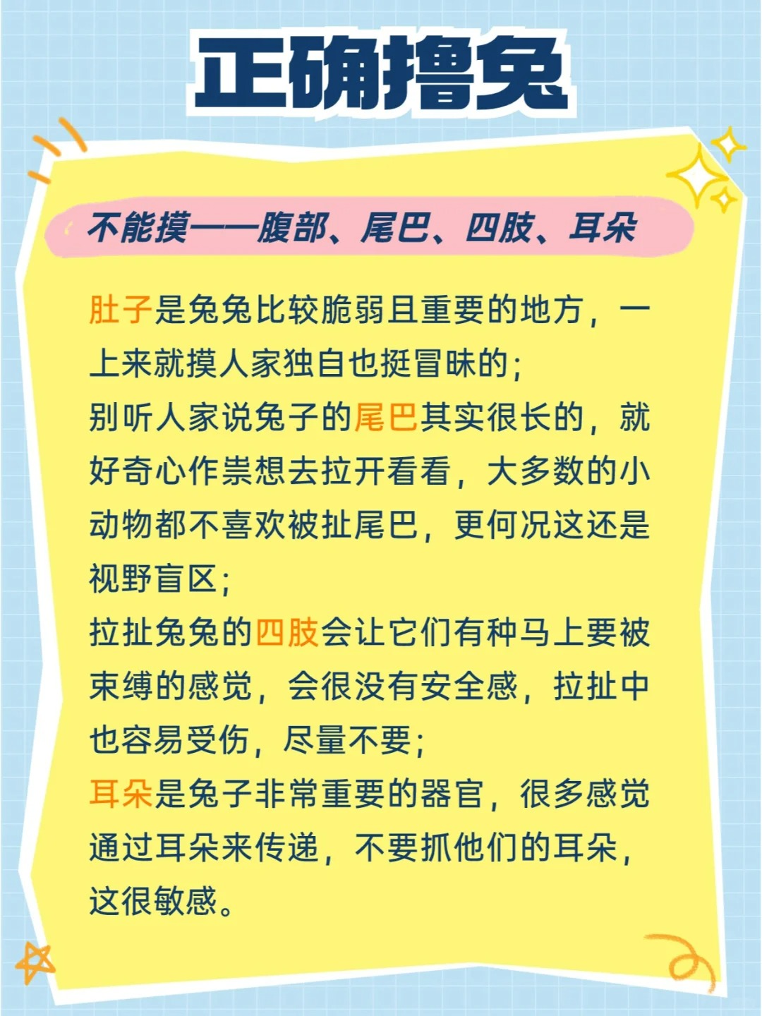 新手养兔不知从何下手？宠医教你正确撸兔！