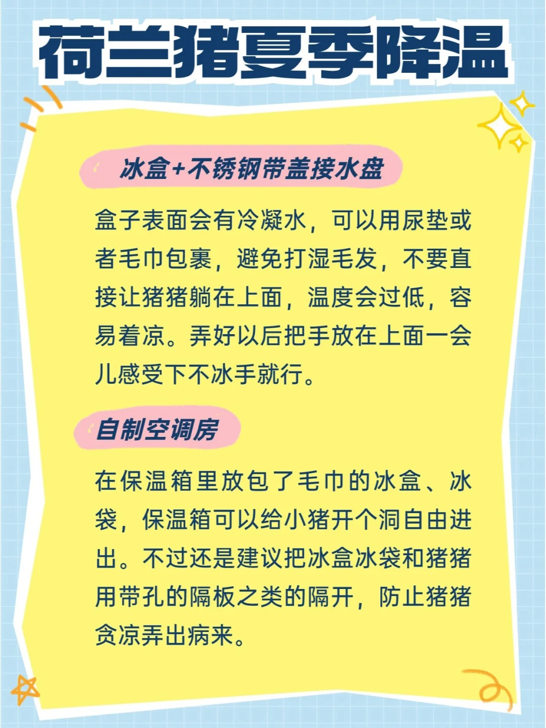 夏季荷兰猪避暑攻略有！猪猪中暑可不得了！