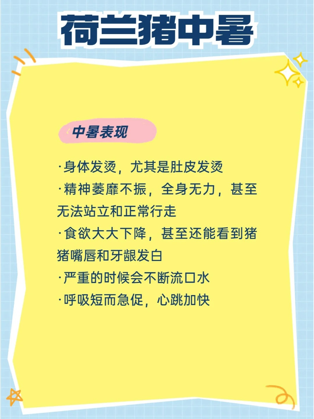 荷兰猪中暑怎么办丨家长们都给我警惕起来！