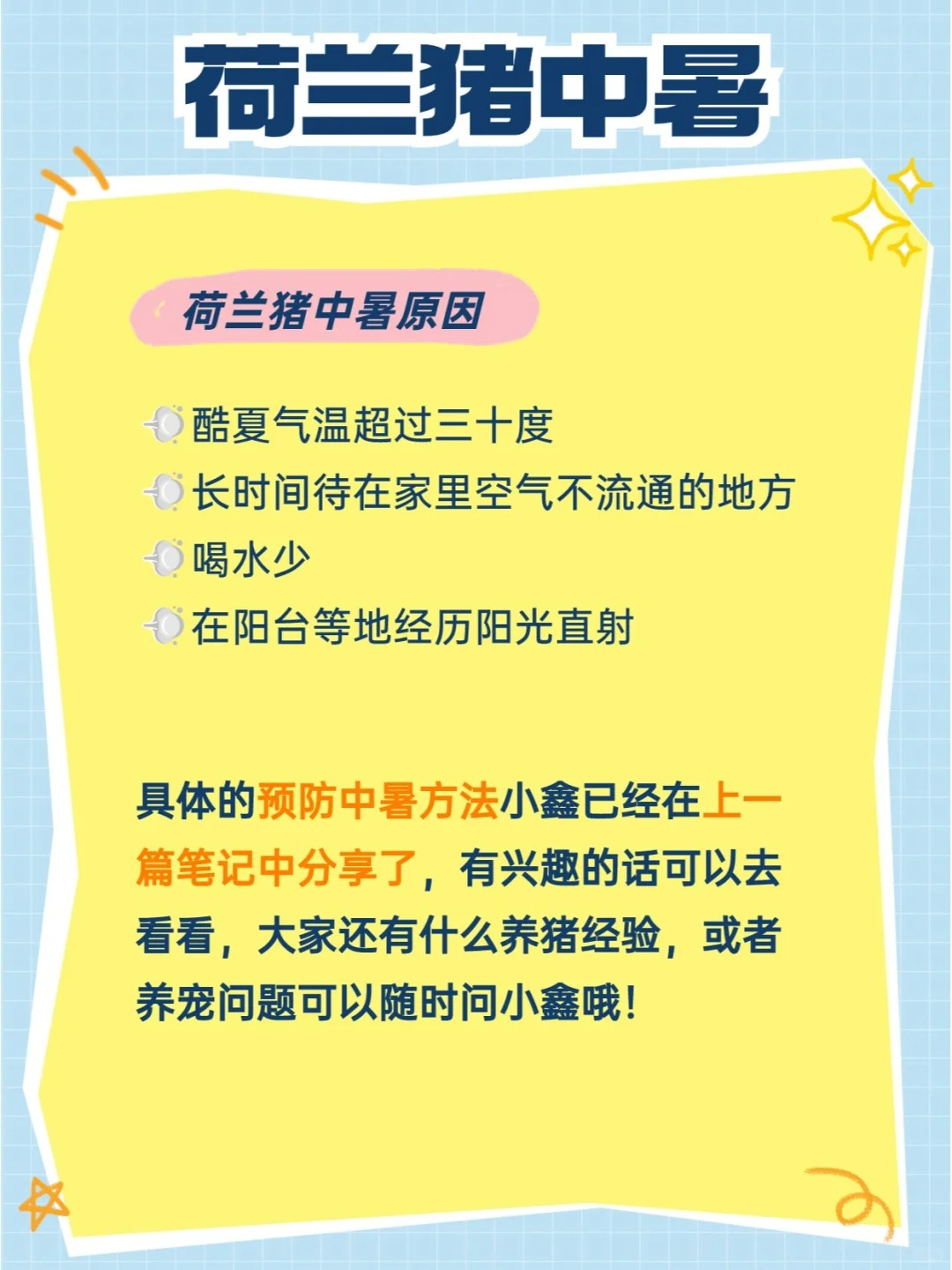 荷兰猪中暑怎么办丨家长们都给我警惕起来！