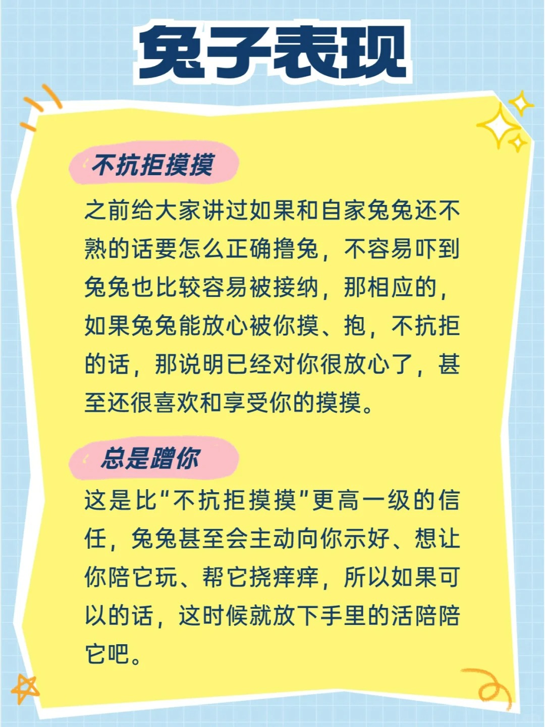 兔兔可太委屈了！已经这么明显了你还不知道