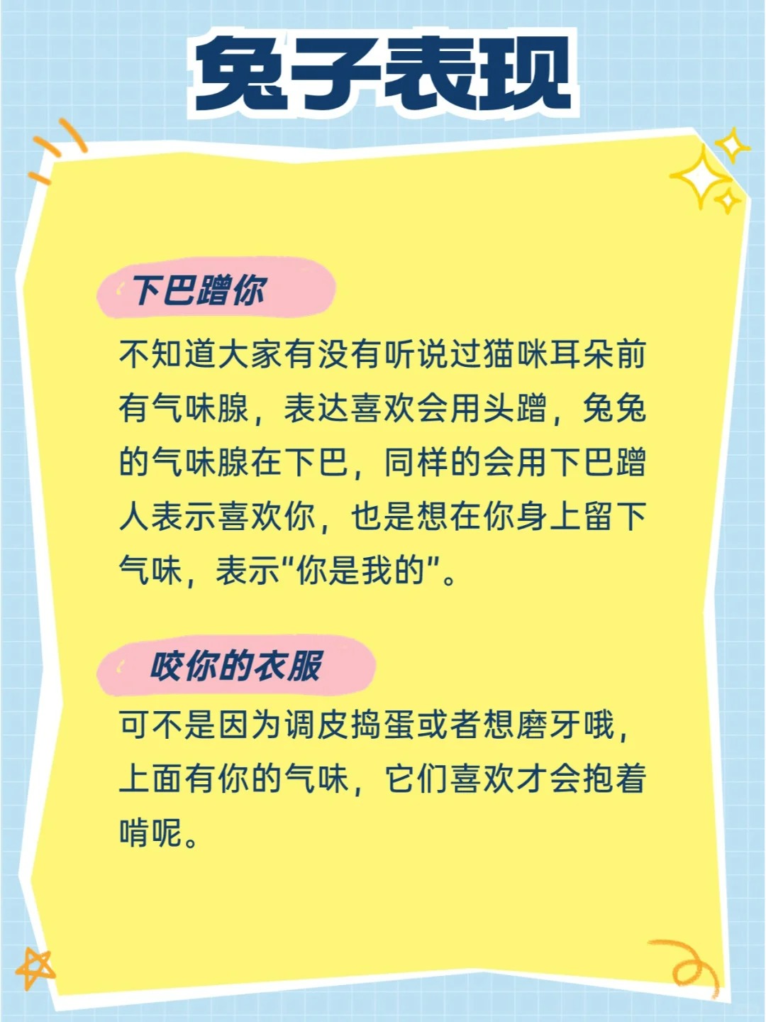 兔兔可太委屈了！已经这么明显了你还不知道