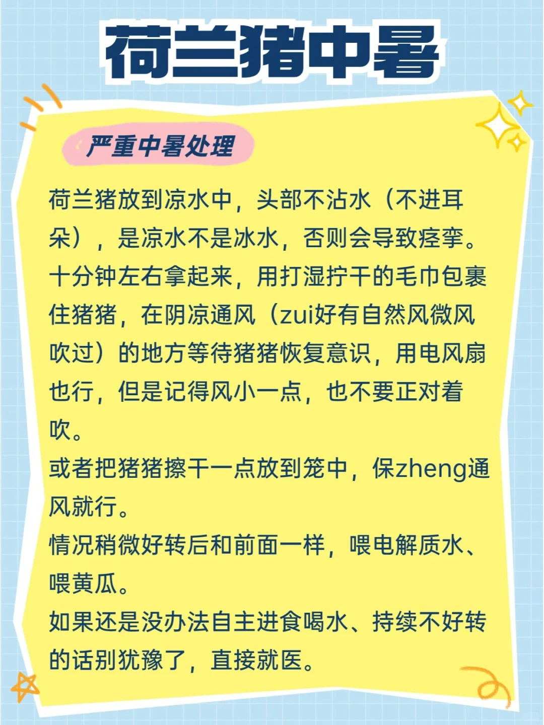 荷兰猪中暑怎么办丨家长们都给我警惕起来！