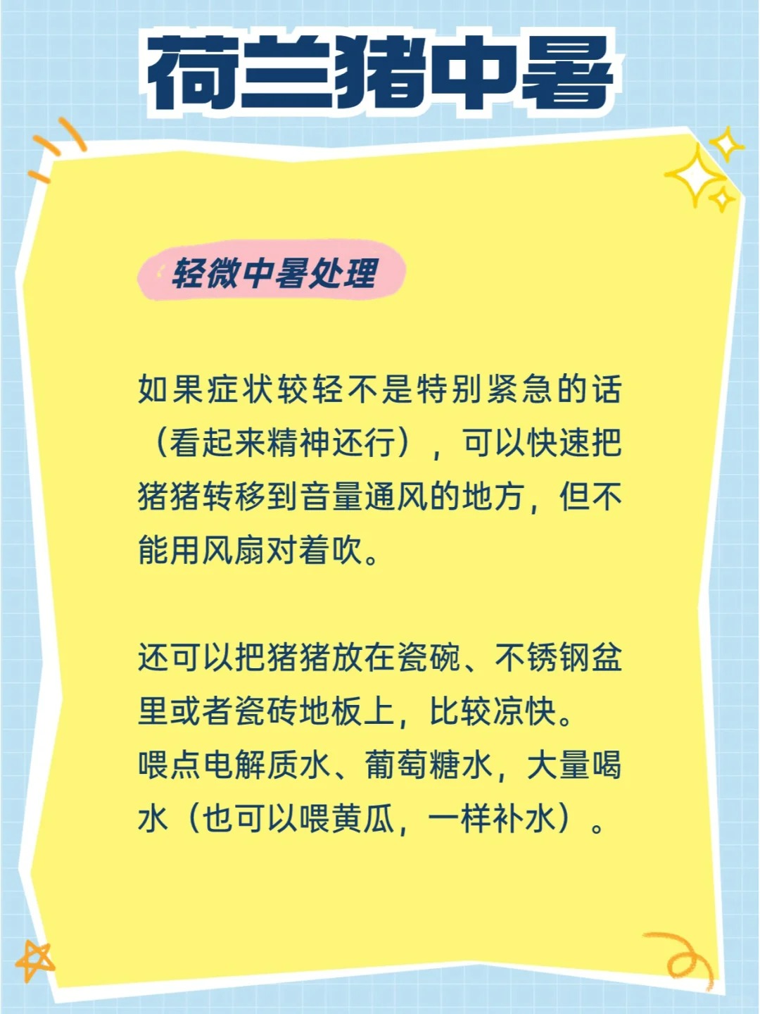 荷兰猪中暑怎么办丨家长们都给我警惕起来！